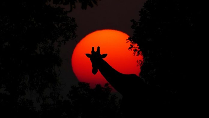 Malaria needs to be taken seriously by holidaymakers