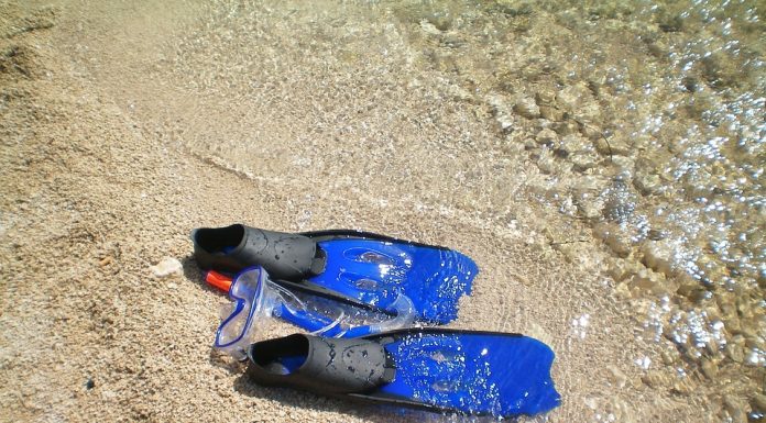 Top Spots to Dive and Snorkel in St. Kitts and Nevis