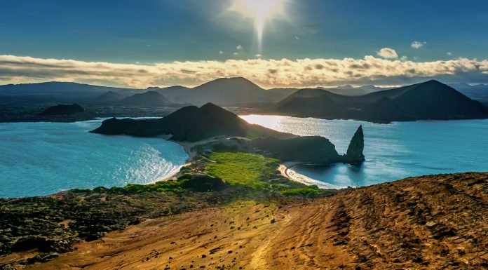 Much More than an Island Paradise: The Galapagos