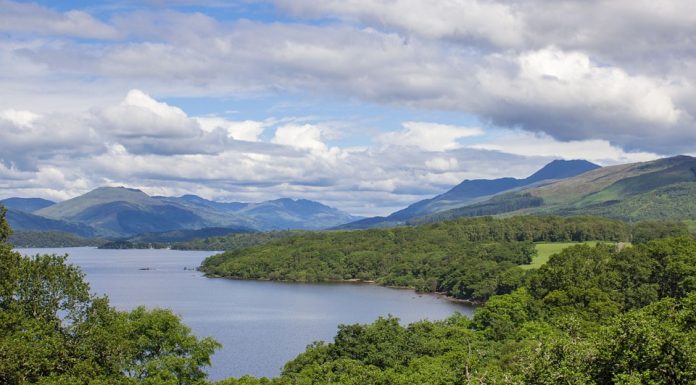 So much to see in the corners of the UK