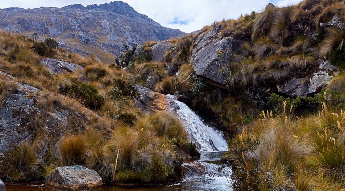 Travel Alert: Peruvian Airlines Grounded for 90 Days