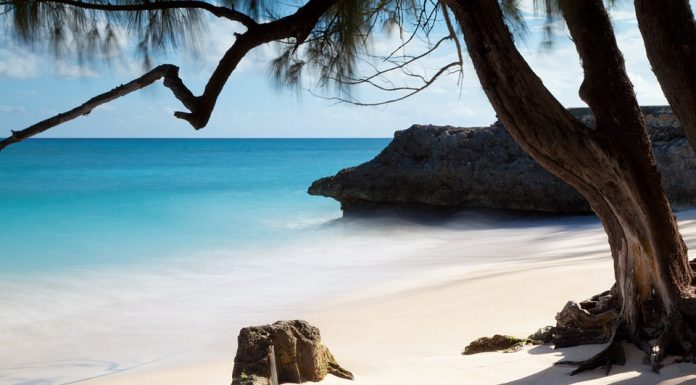 The almost mythical Barbados