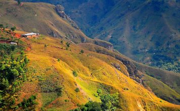 Five Generations of Metal Sculptors in Croix des Bouquets, Haiti
