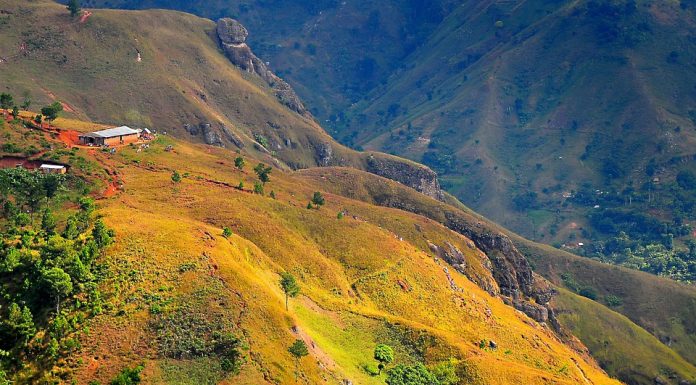 Five Generations of Metal Sculptors in Croix des Bouquets, Haiti
