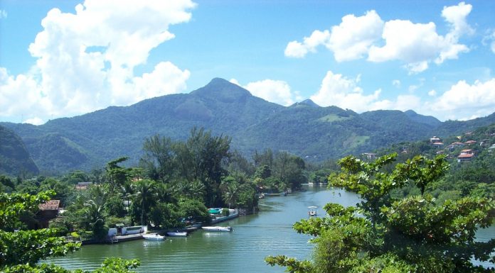 Tijuca National Park Rio