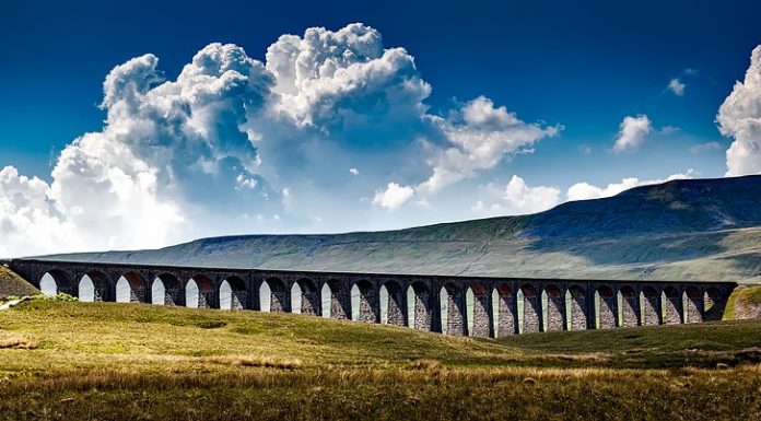 Top 5 Places In Yorkshire To Walk Your Dog