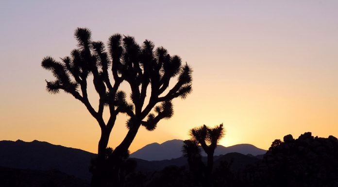 8 of America’s Lesser Known National Parks