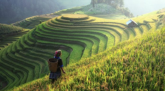 Planning Your Trip Around China