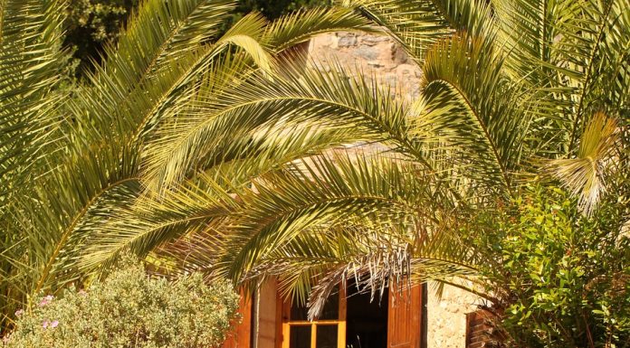 How to Find the Best Travel Accommodations