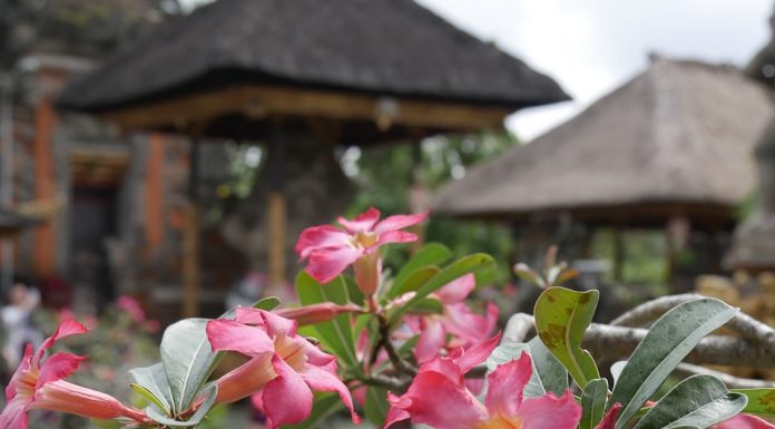 The Kecak Dance in Bali