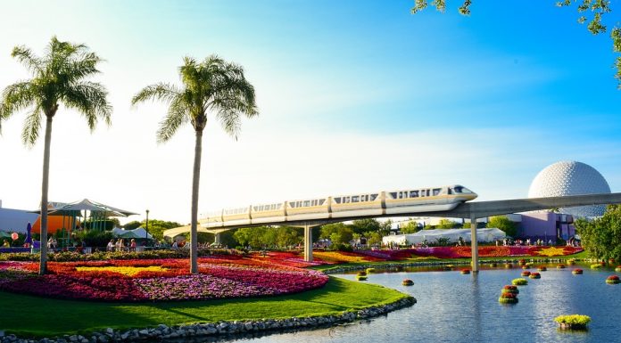 5 Places to Escape from Walt Disney World