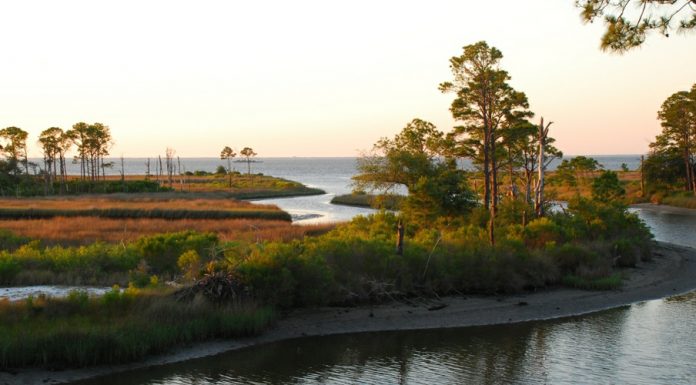 The mighty Mississippi River
