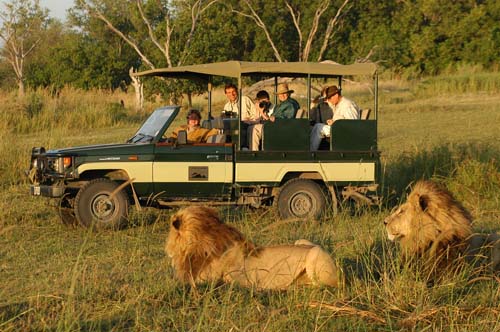 tanzania safari