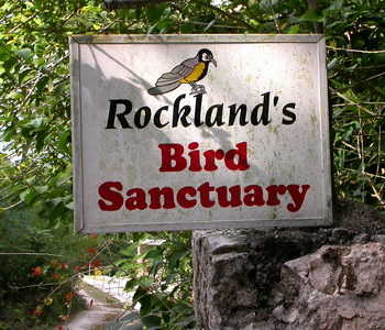 Rocklands-Feeding-Station