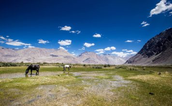National Parks of India