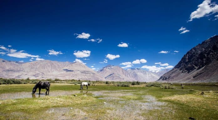 National Parks of India